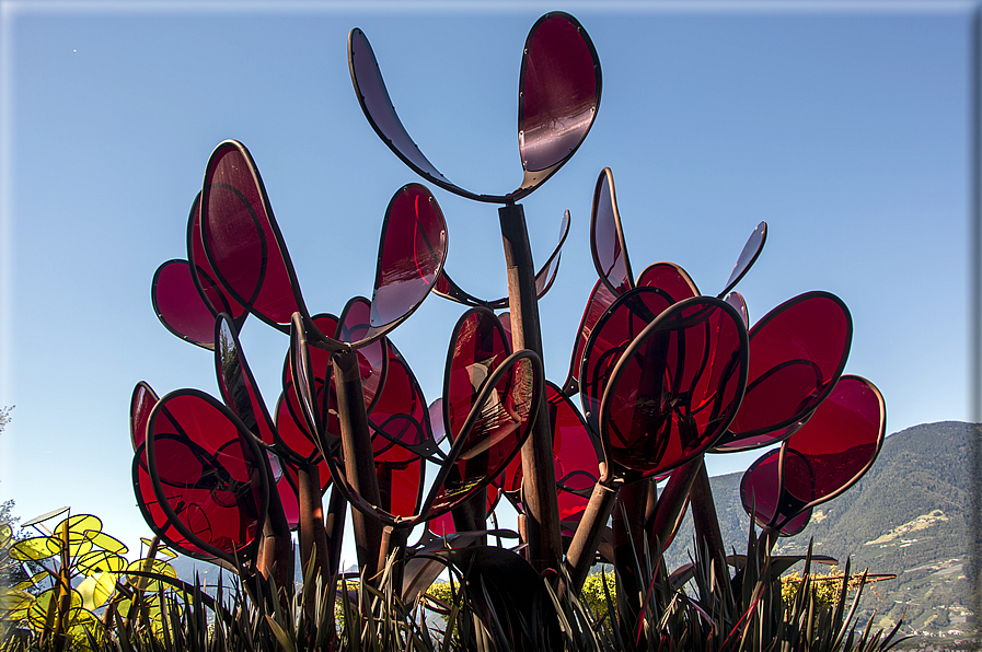 foto Giardini Trauttmansdorff - Giardino degli Innamorati e binocolo di Matteo Thun